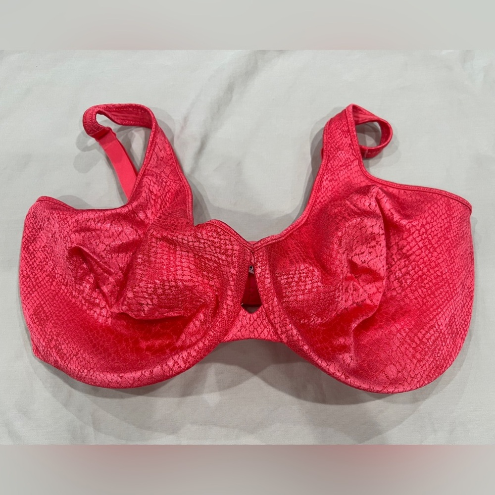 Lilyette Coral Full Coverage Bra with Lace